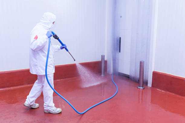 Best Pool Deck Cleaning  in Destin, FL